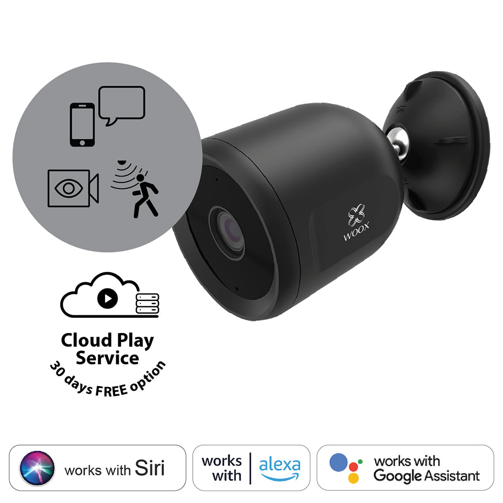 Online camera for outdoors and indoors, 2MP/LAN/IP65
